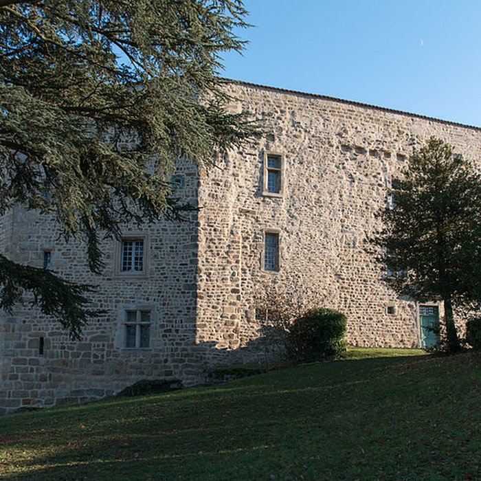 Photo de Château de Roche la Molière