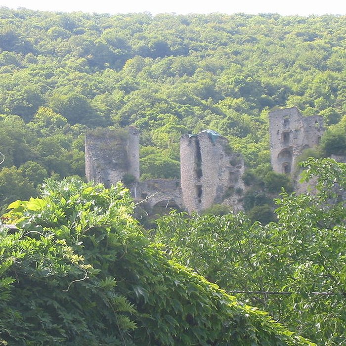 Photo de Château de Rochechinard 