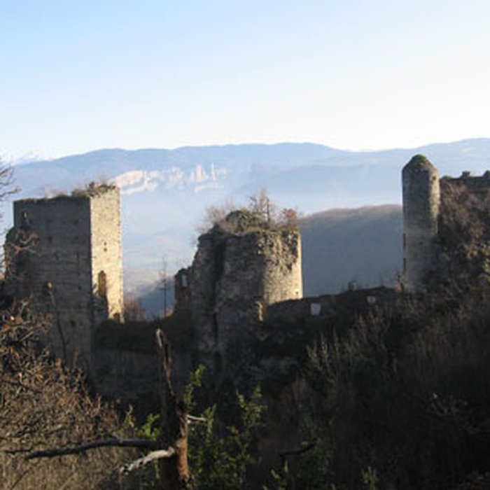 Photo de Château de Rochechinard 
