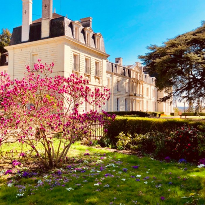 Photo de Château de Rochecotte