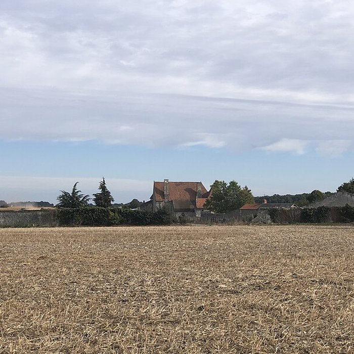Photo de Château de Rochefort à Mirebeau