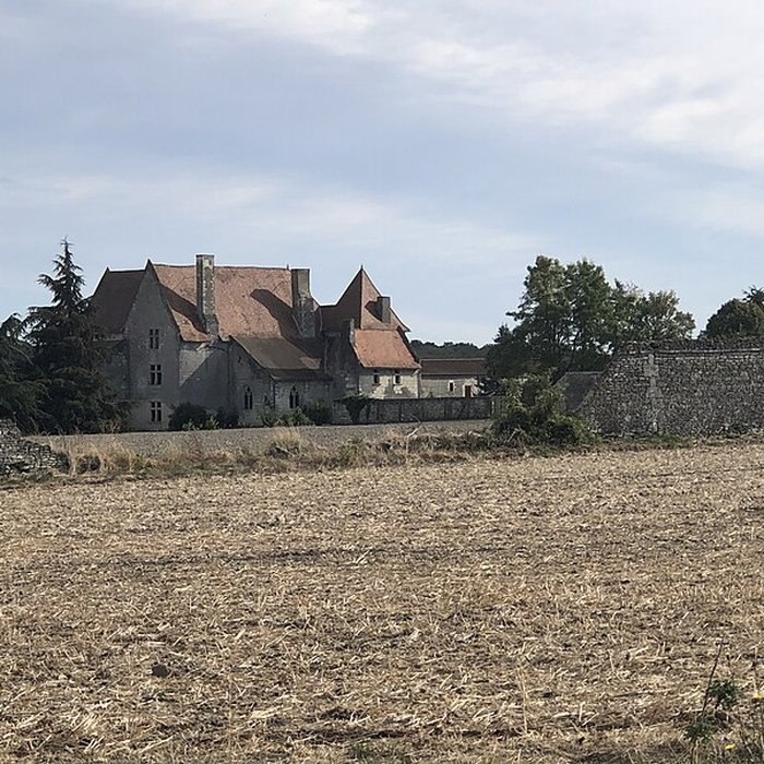 Photo de Château de Rochefort à Mirebeau