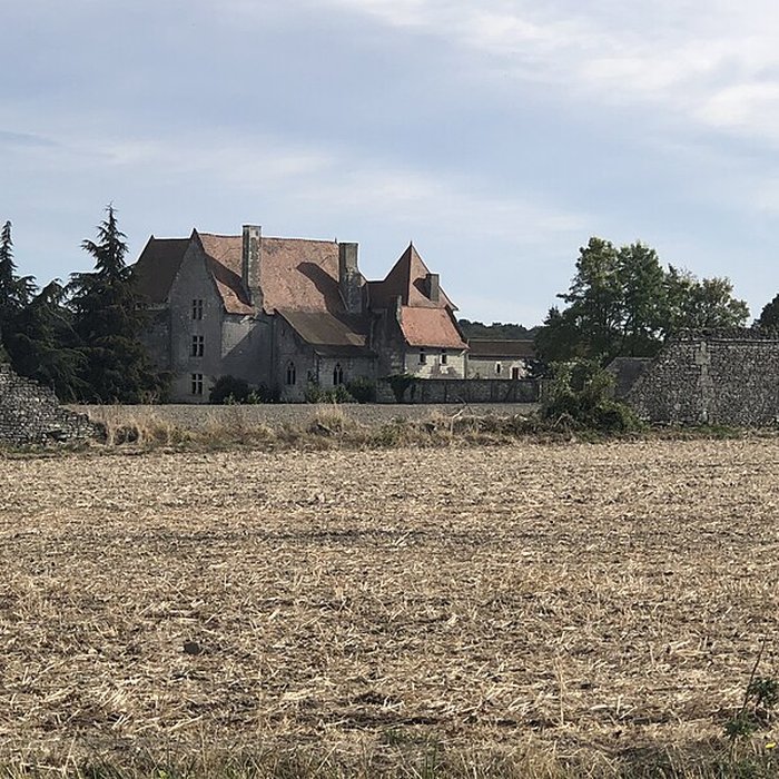 Photo de Château de Rochefort à Mirebeau
