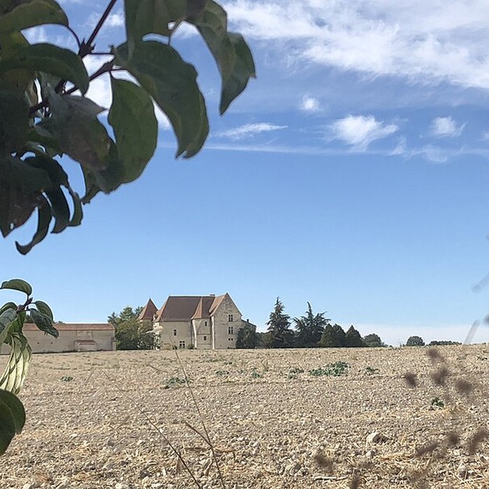 Photo de Château de Rochefort à Mirebeau