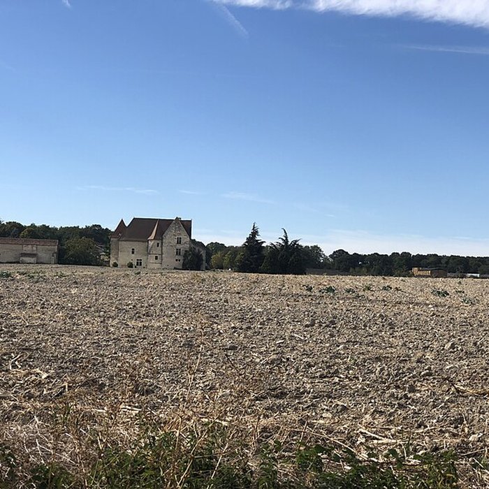 Photo de Château de Rochefort à Mirebeau