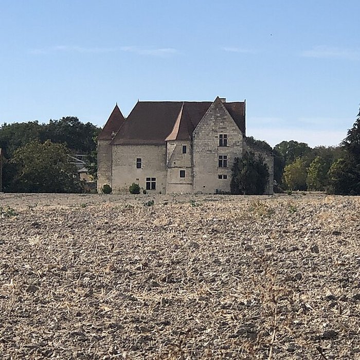 Photo de Château de Rochefort à Mirebeau