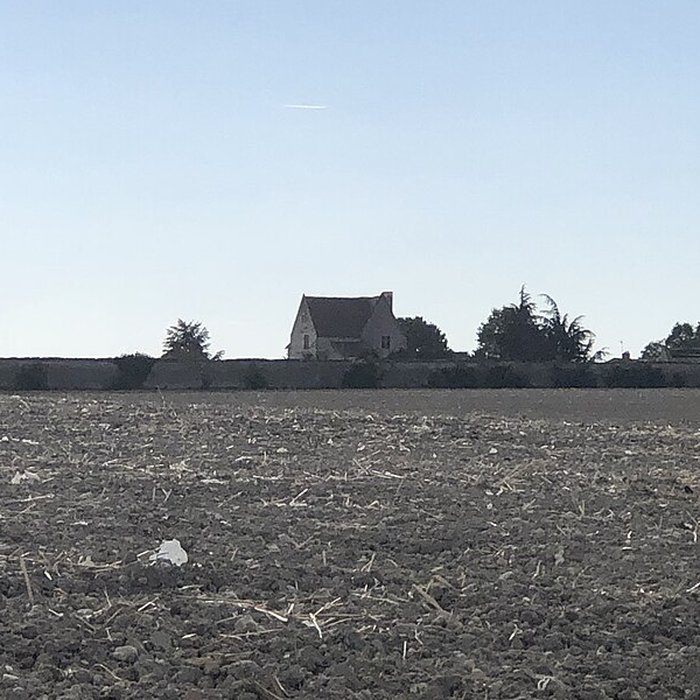 Photo de Château de Rochefort à Mirebeau