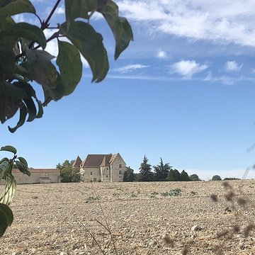 Château de Rochefort à Mirebeau