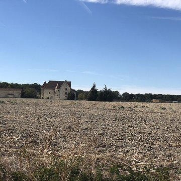 Château de Rochefort à Mirebeau