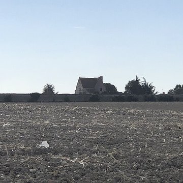 Château de Rochefort à Mirebeau