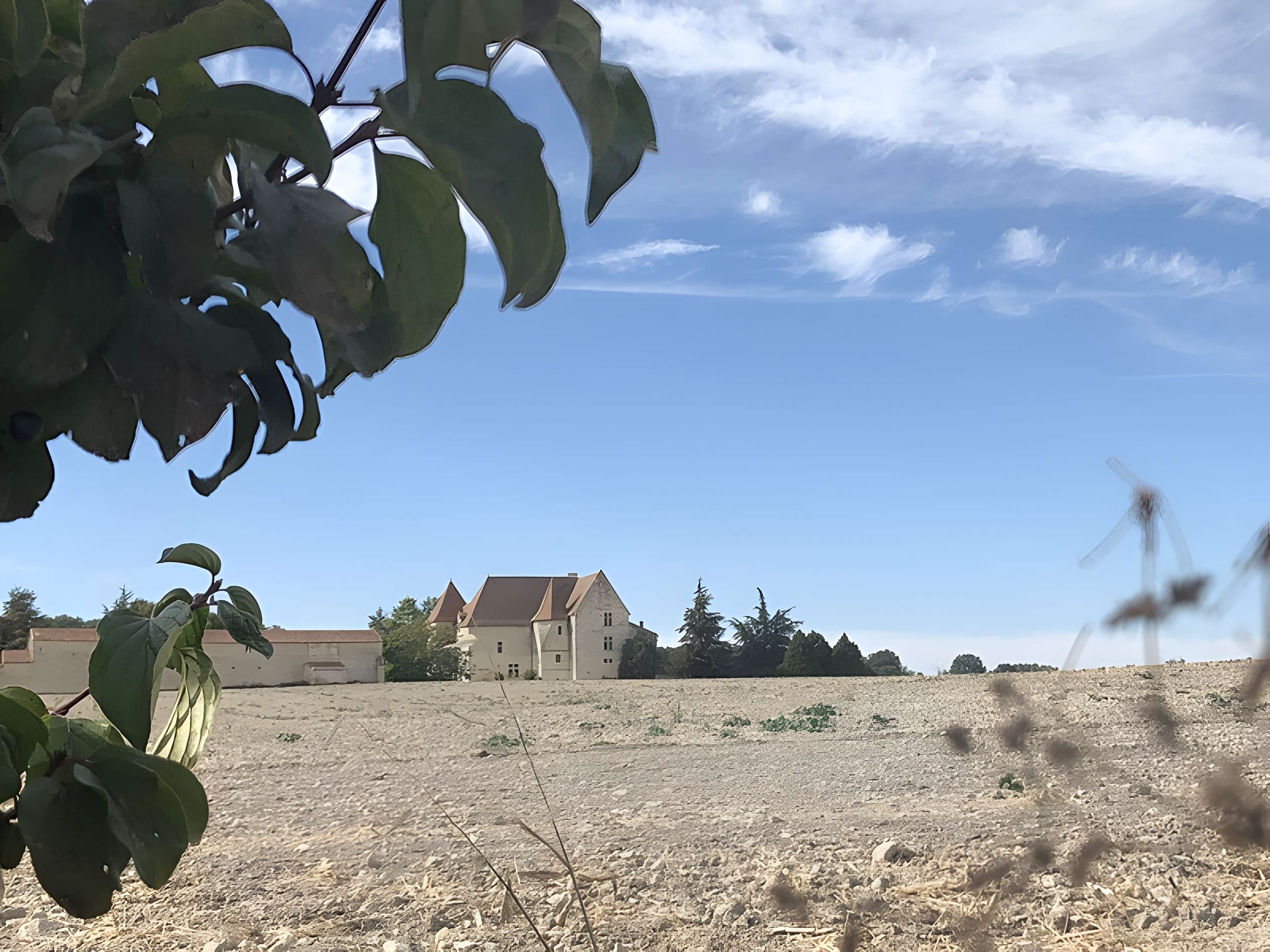 Château de Rochefort à Mirebeau