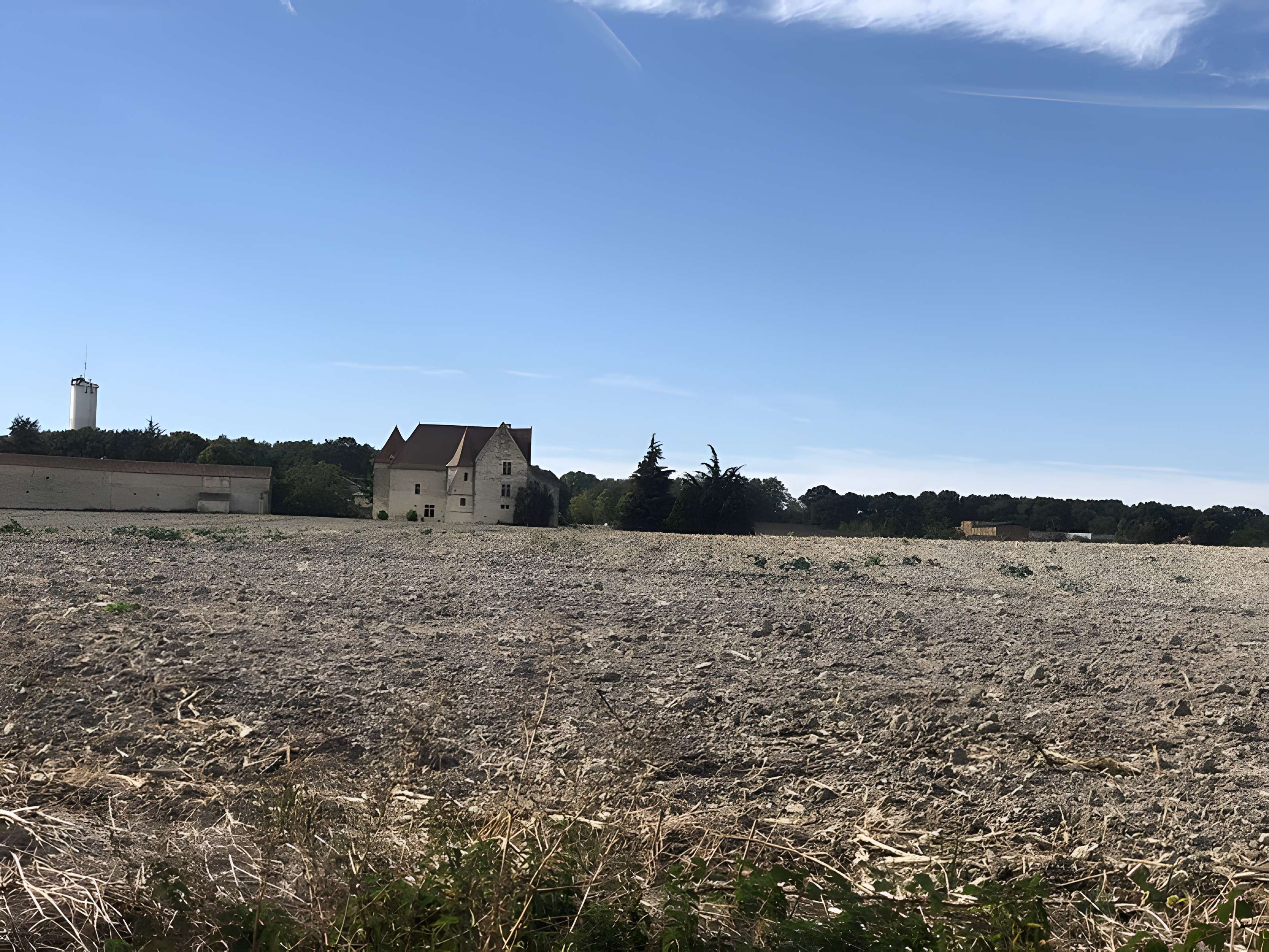 Château de Rochefort à Mirebeau