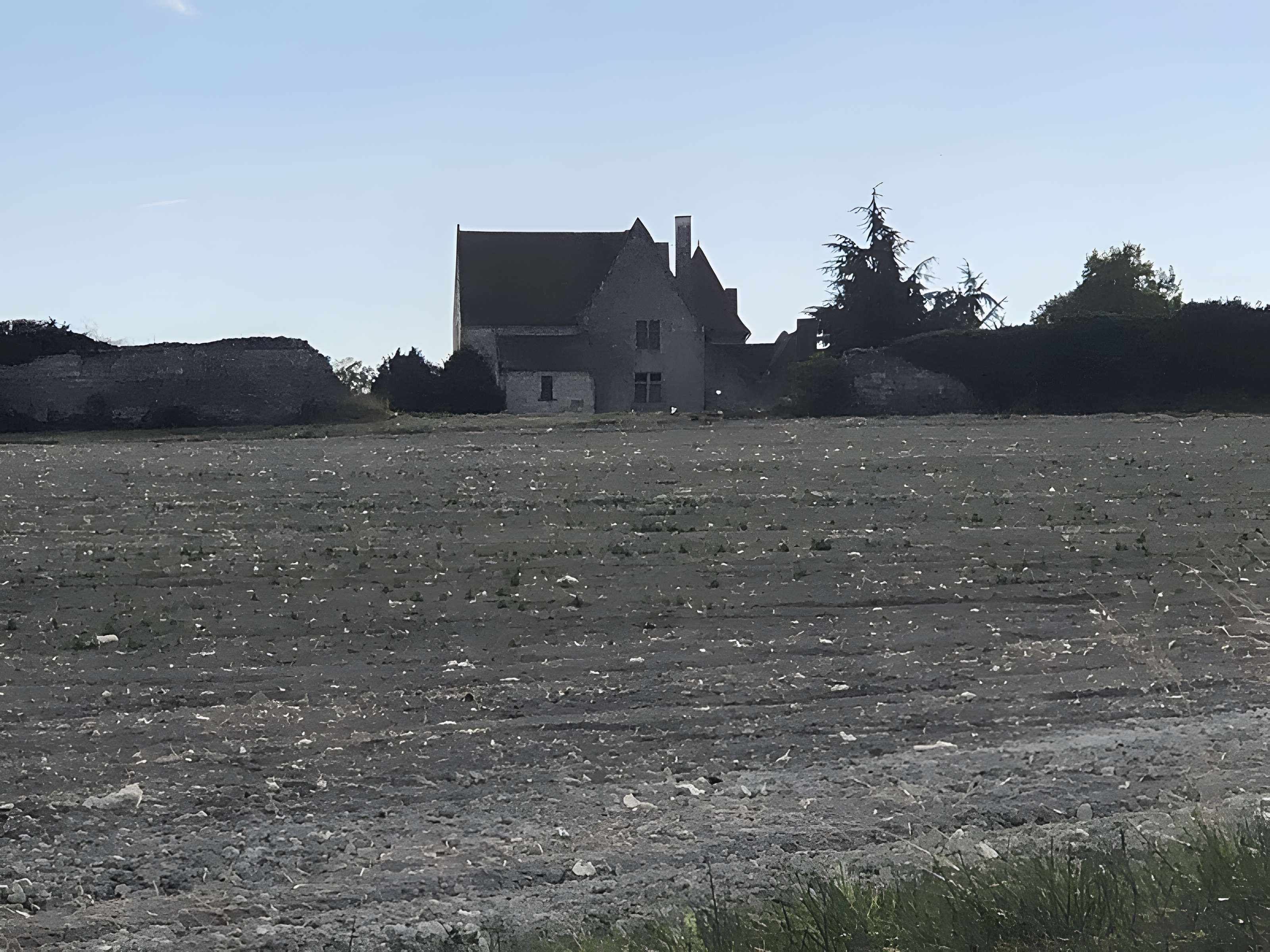 Château de Rochefort à Mirebeau