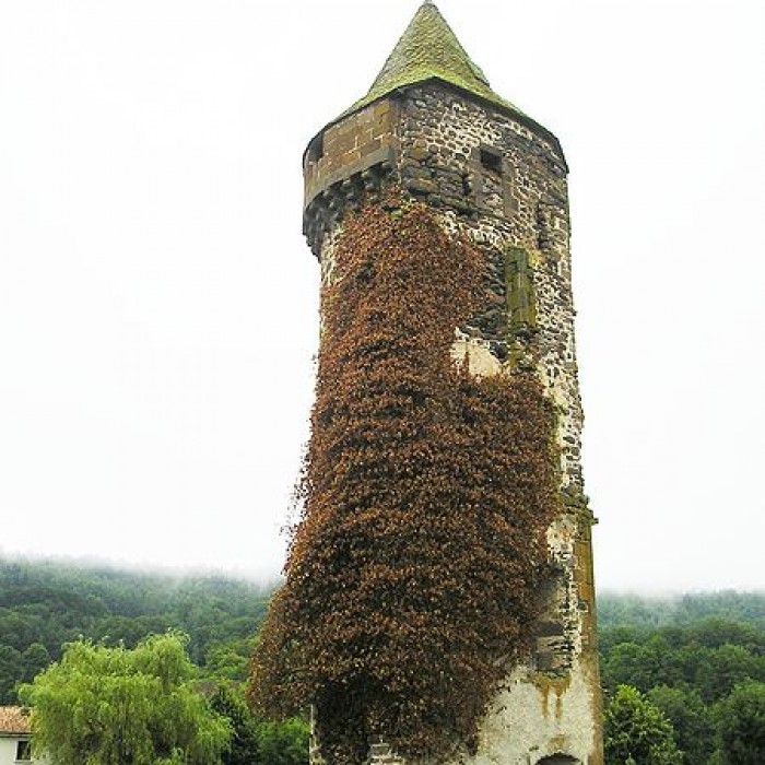 Photo de Château de Roffiac