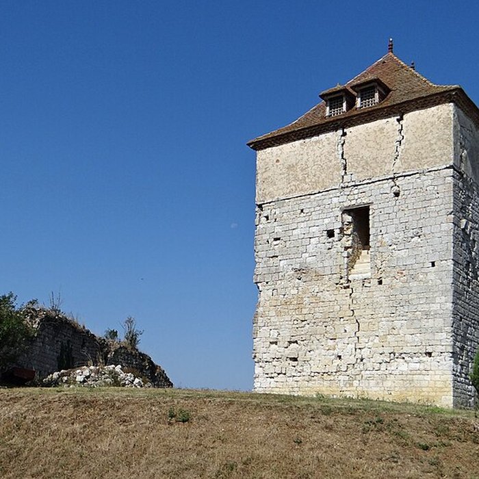 Photo de Château de Roquefort