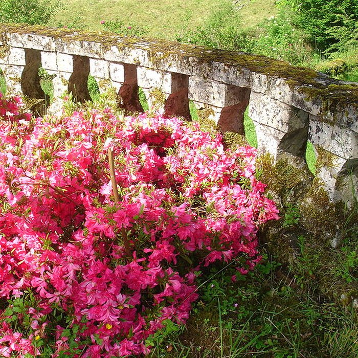 Photo de Château de Rouffiac