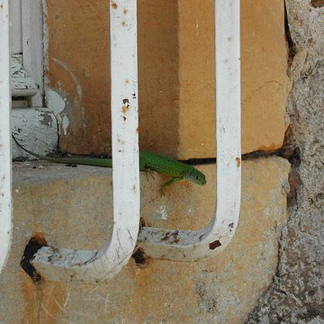 Château de Rouffiac