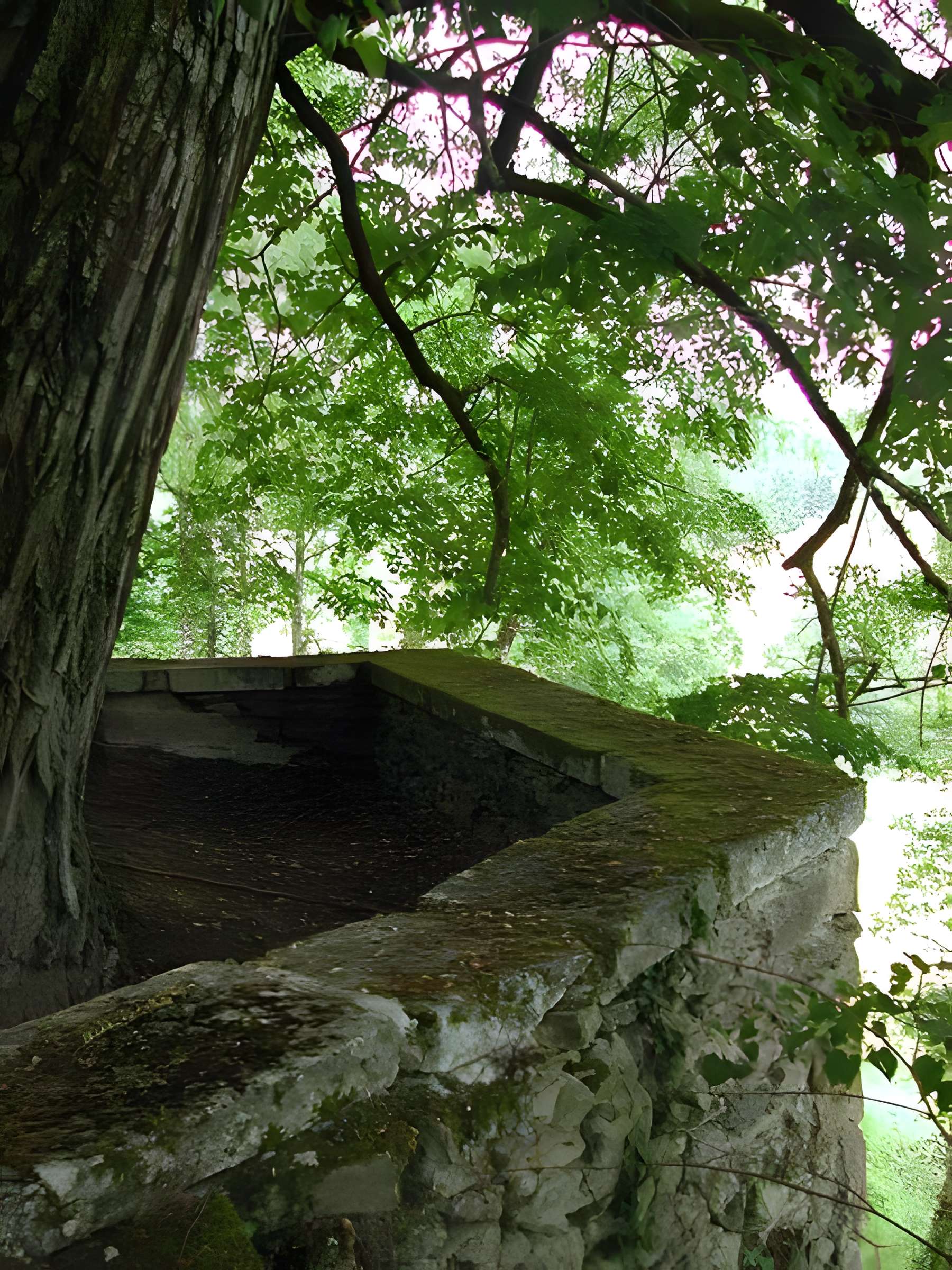 Château de Rouffiac