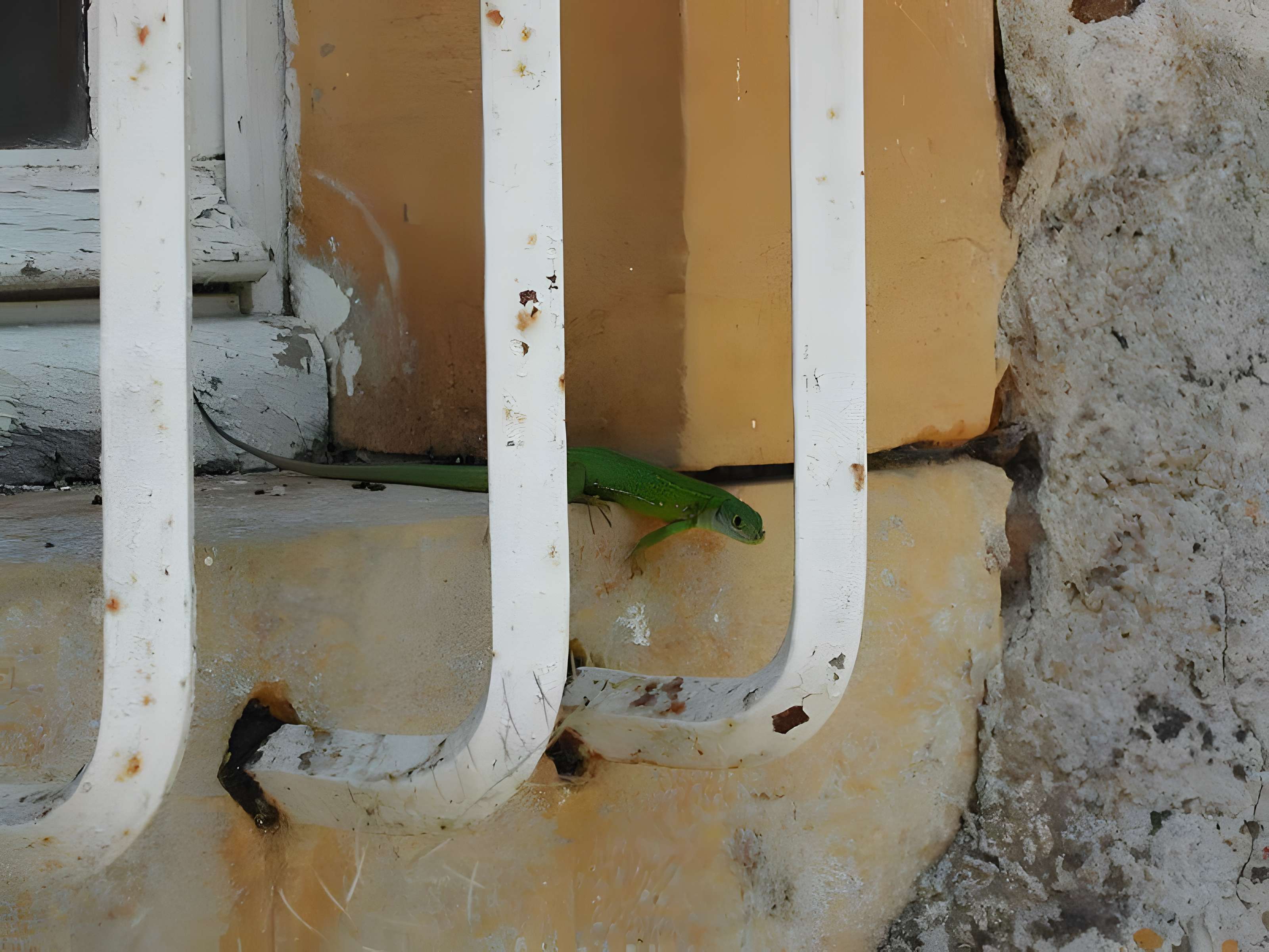 Château de Rouffiac