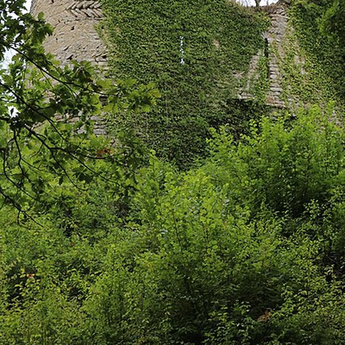 Photo de Ruines du château de Rougemont