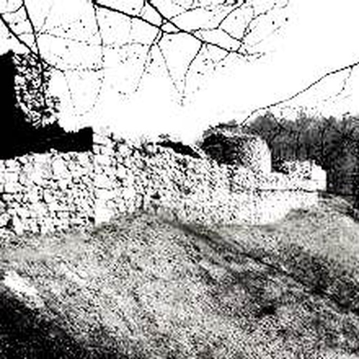 Photo de Ruines du château de Rougemont