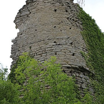 Ruines du château de Rougemont