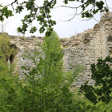 Ruines du château de Rougemont