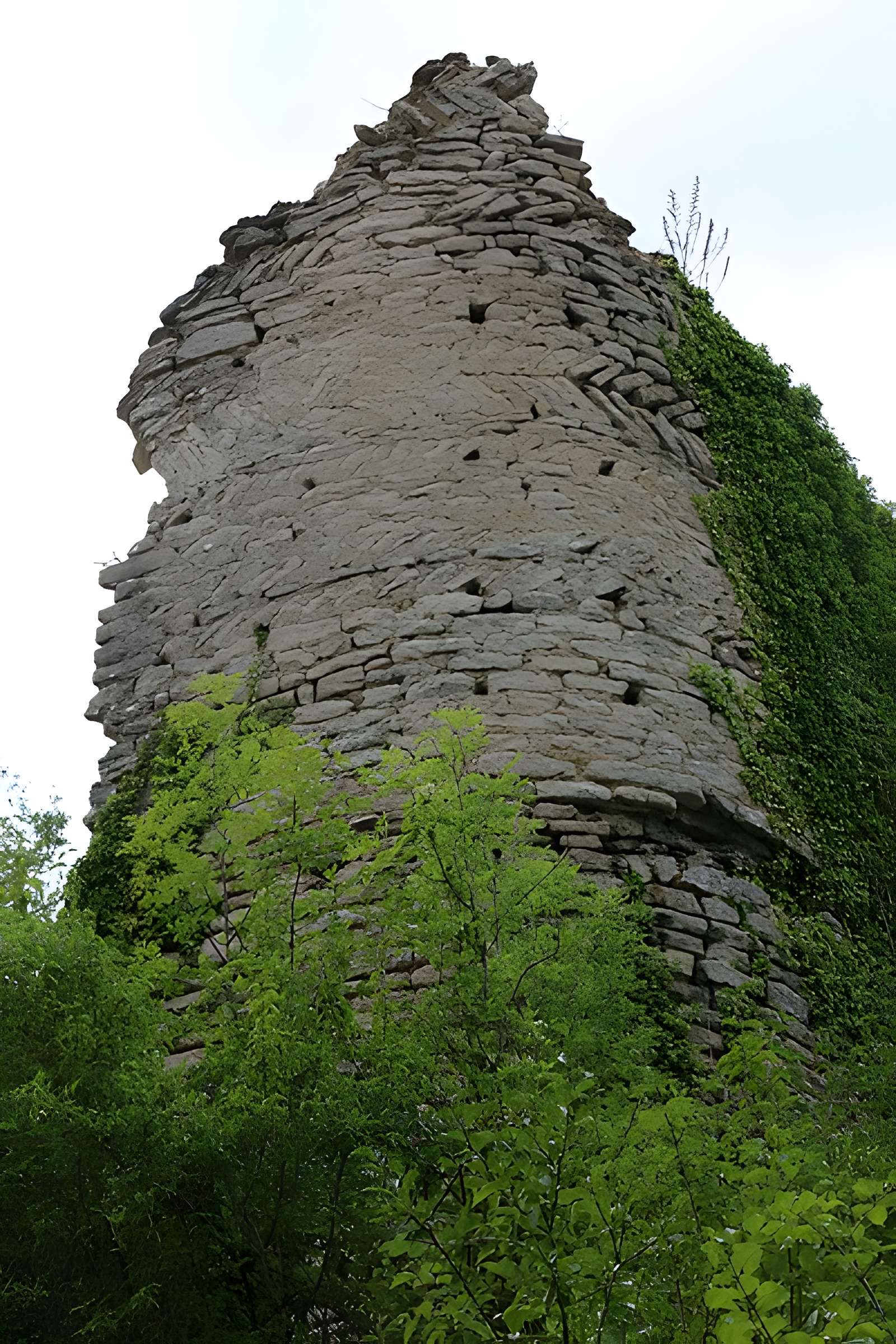 Ruines du château de Rougemont