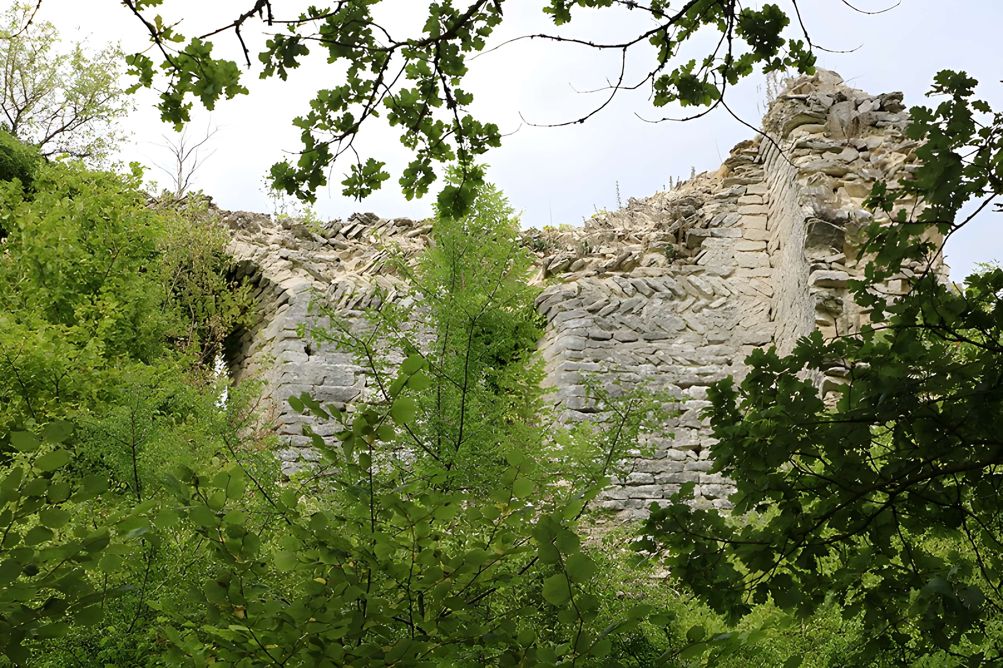Ruines du château de Rougemont
