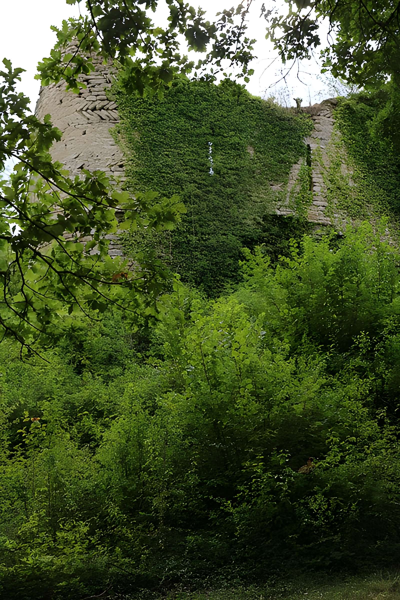 Ruines du château de Rougemont
