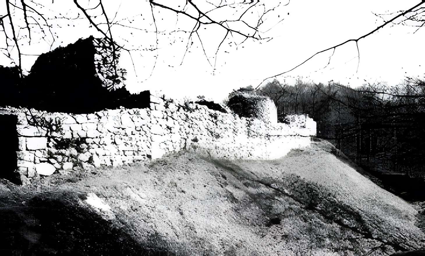 Ruines du château de Rougemont