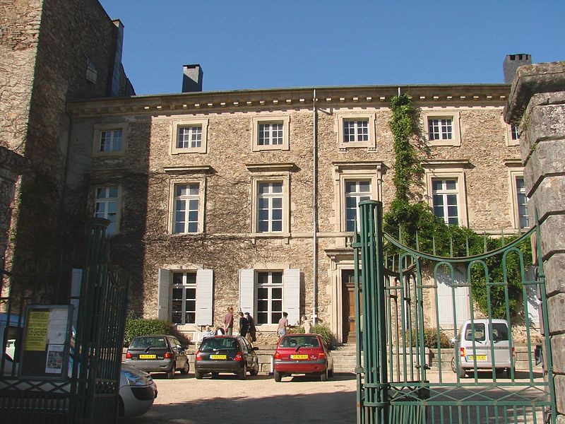 Photo de Château de Saint-Amans-Valtoret