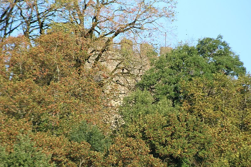 Photo de Château de Saint-André à Briord