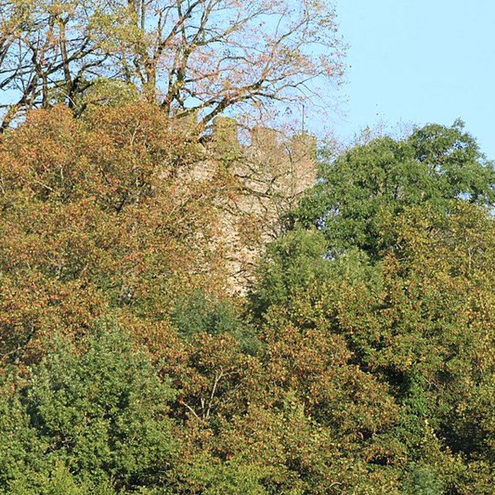 Photo de Château de Saint-André à Briord