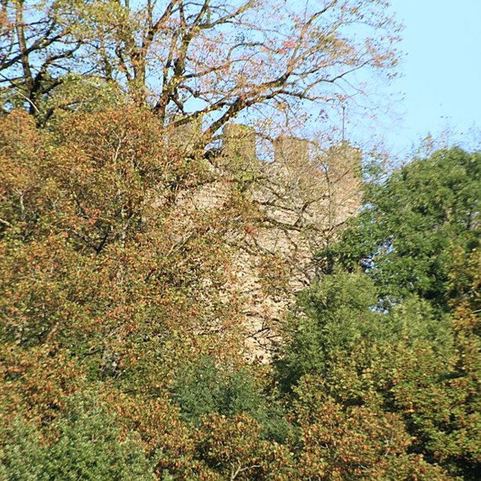 Photo de Château de Saint-André à Briord