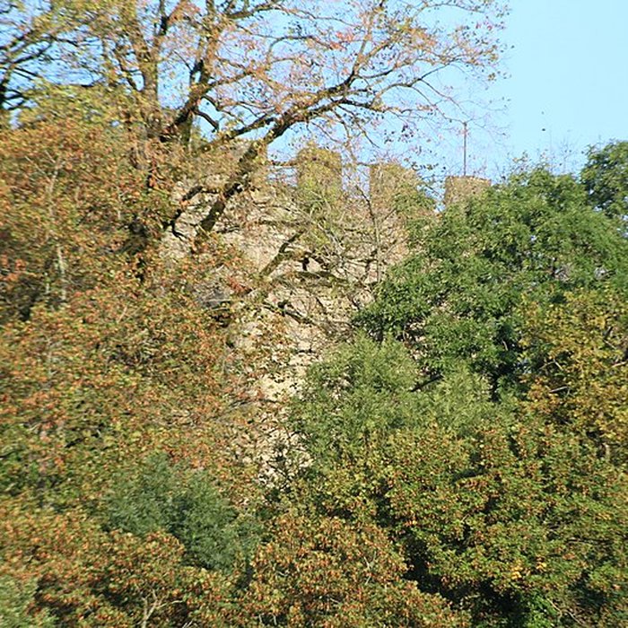 Photo de Château de Saint-André à Briord