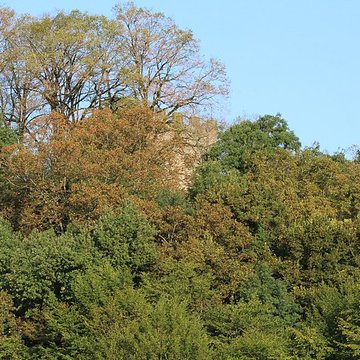 Château de Saint-André à Briord