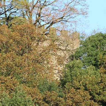 Château de Saint-André à Briord