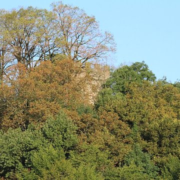 Château de Saint-André à Briord