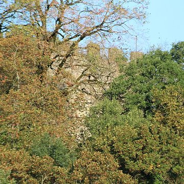 Château de Saint-André à Briord