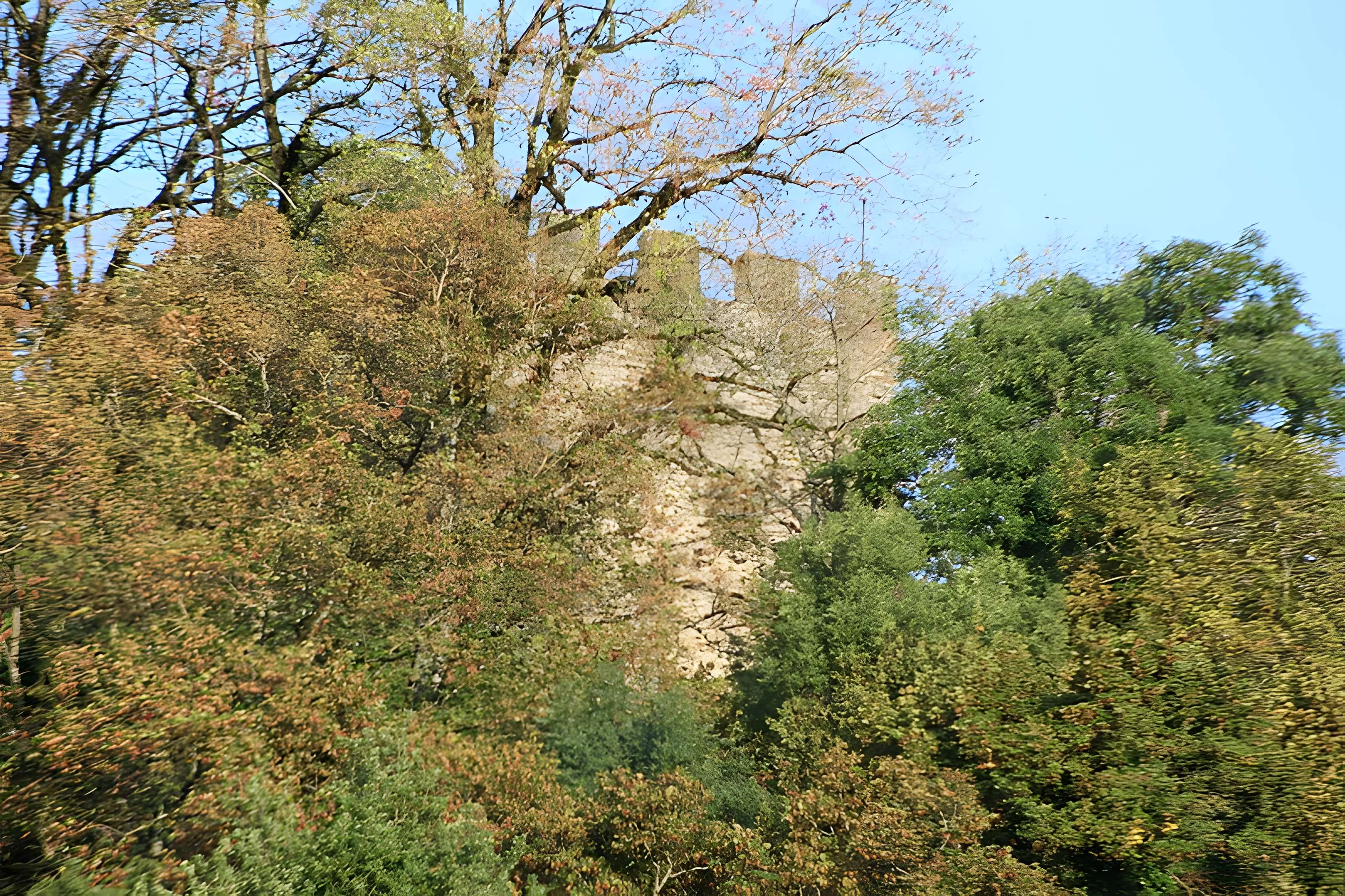 Château de Saint-André à Briord