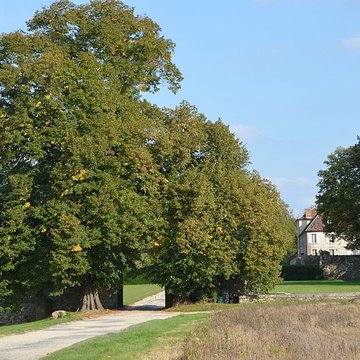 Château de Saint-Ange