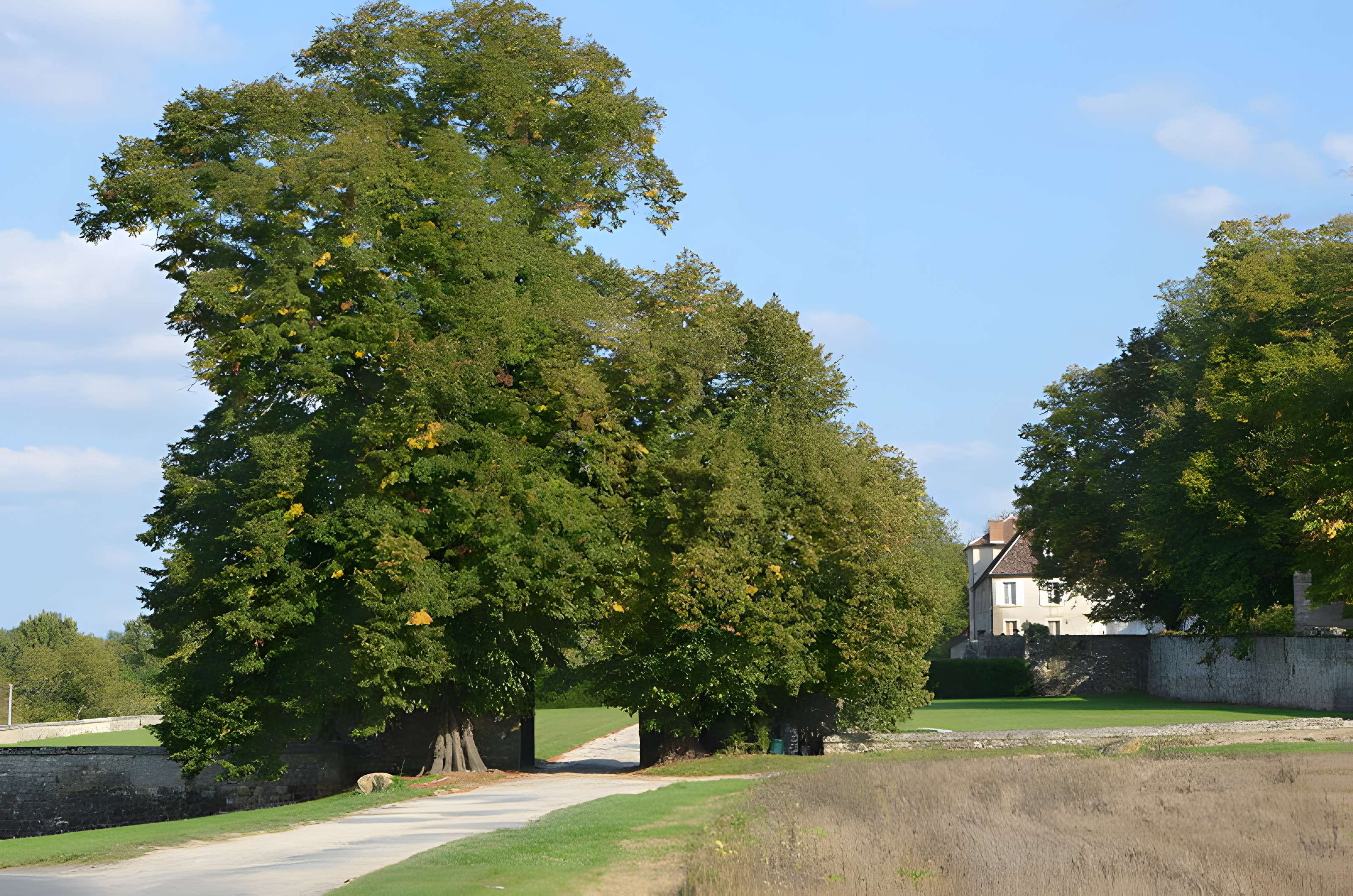 Château de Saint-Ange