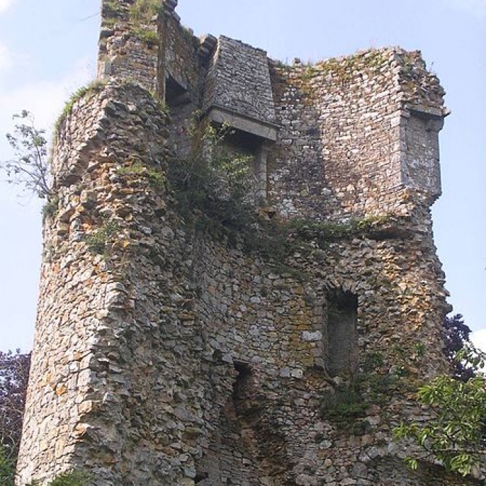 Photo de Château de Saint-Aubin-du-Cormier