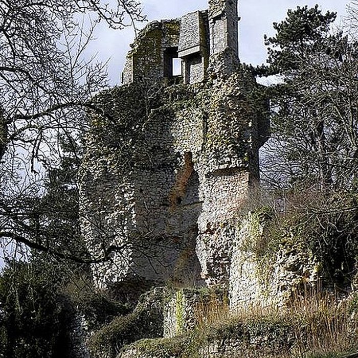 Photo de Château de Saint-Aubin-du-Cormier