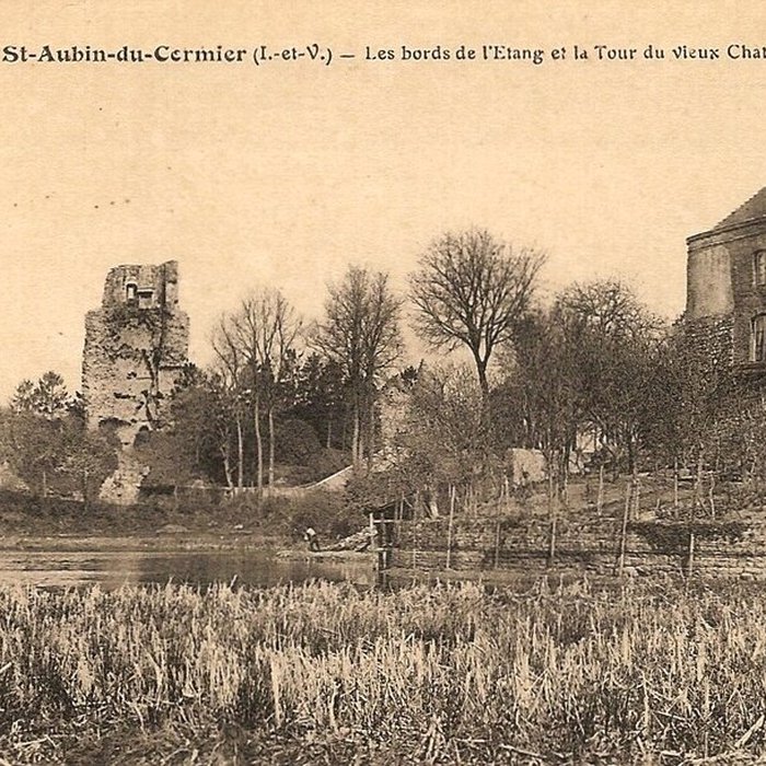 Photo de Château de Saint-Aubin-du-Cormier