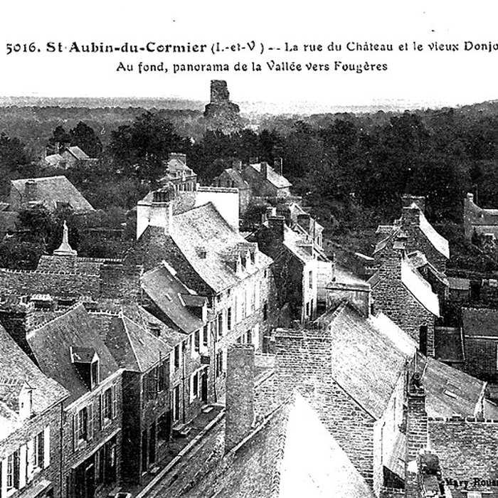 Photo de Château de Saint-Aubin-du-Cormier