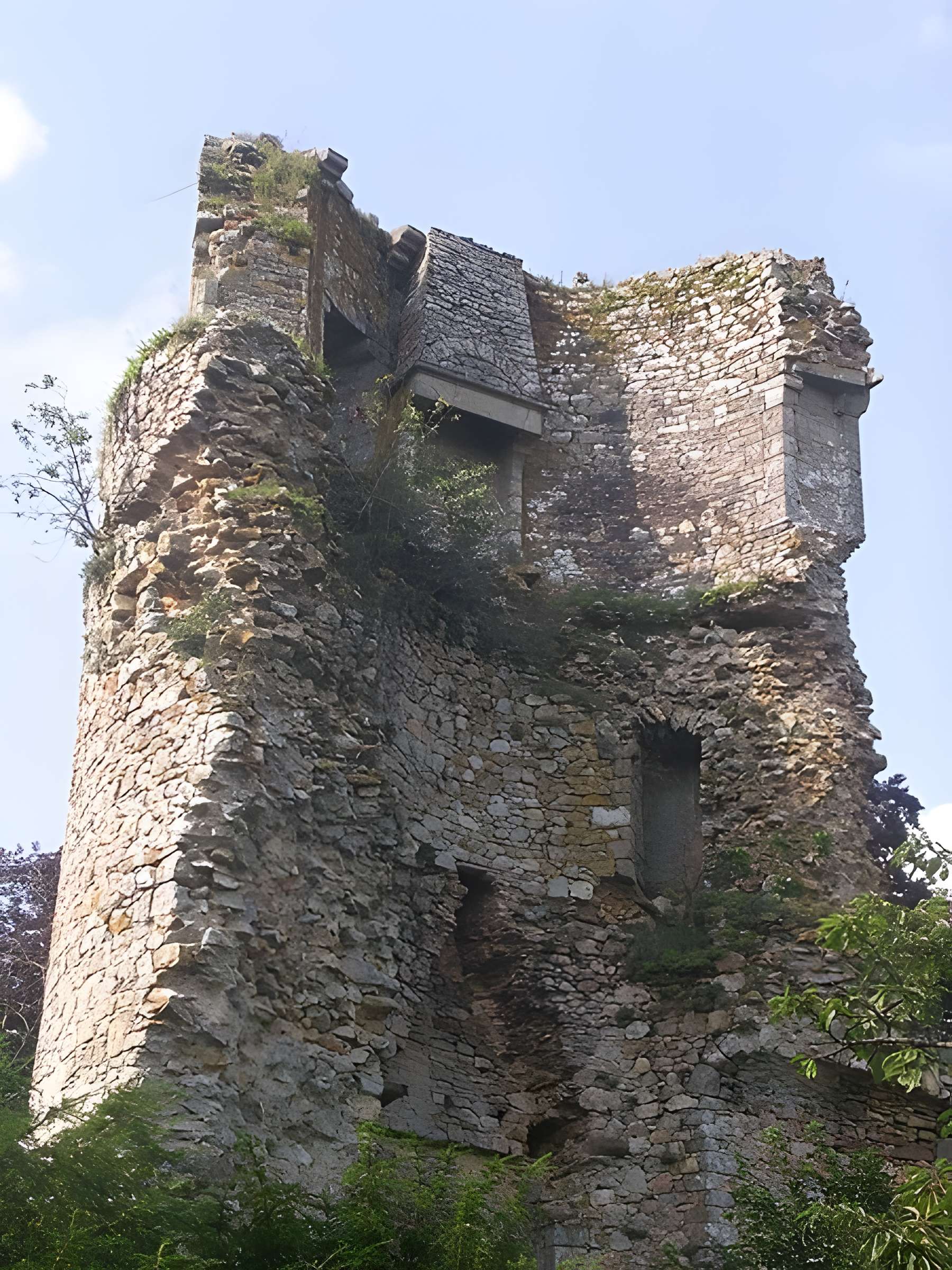Château de Saint-Aubin-du-Cormier 