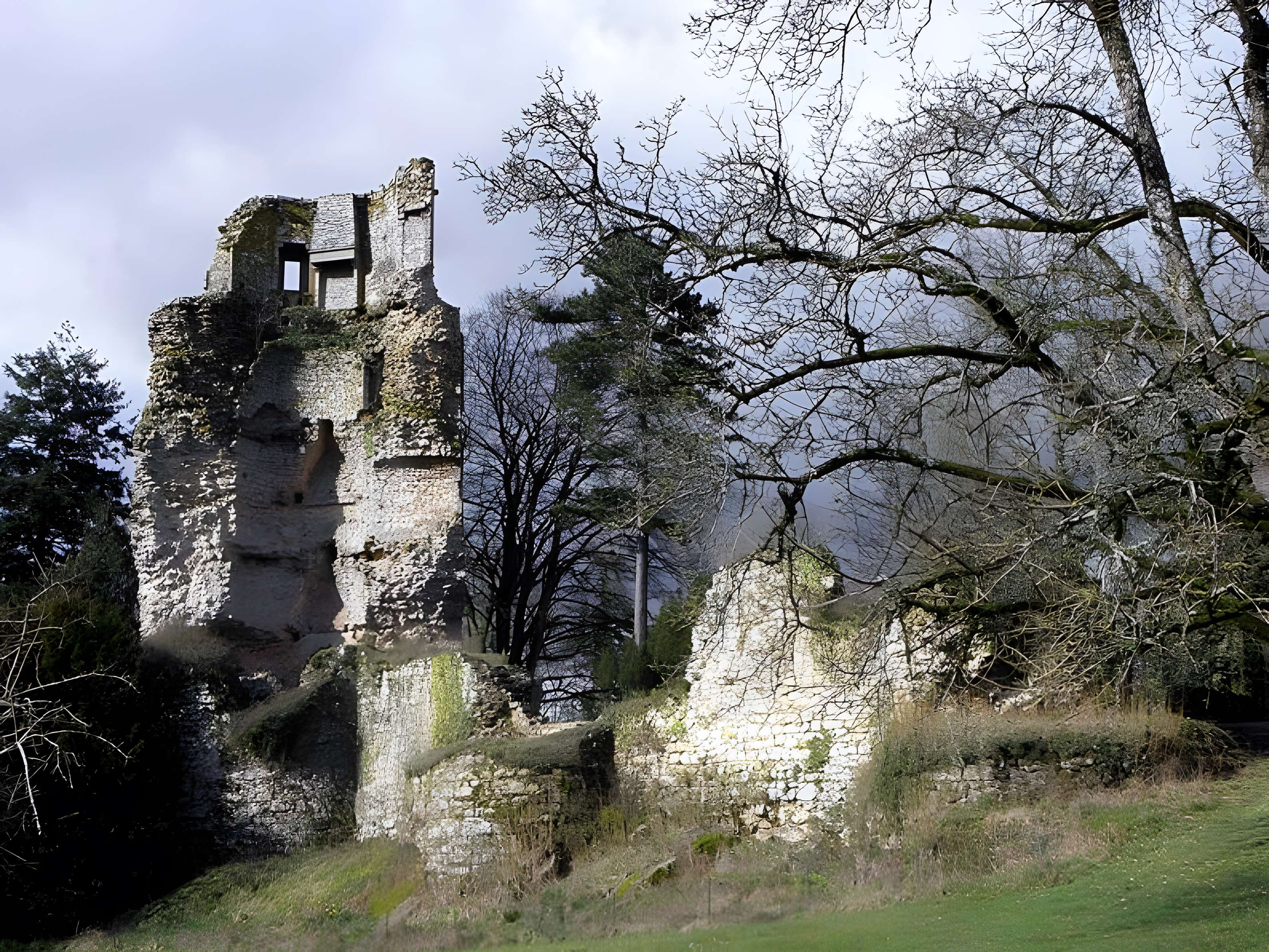 Château de Saint-Aubin-du-Cormier