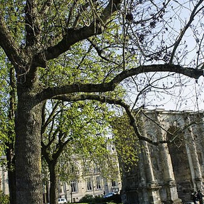 Photo de Porte de Mars à Reims